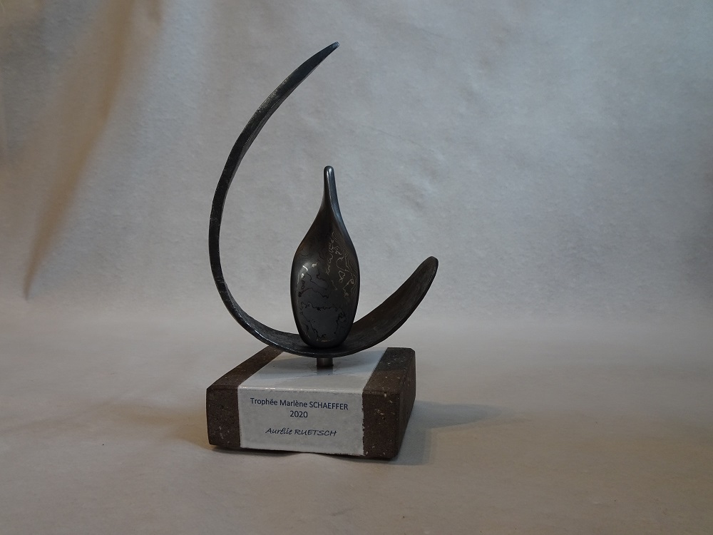 Troph&eacute;es &laquo;&nbsp;Madame artisanat&nbsp;&raquo; de la cma Strasbourg 0