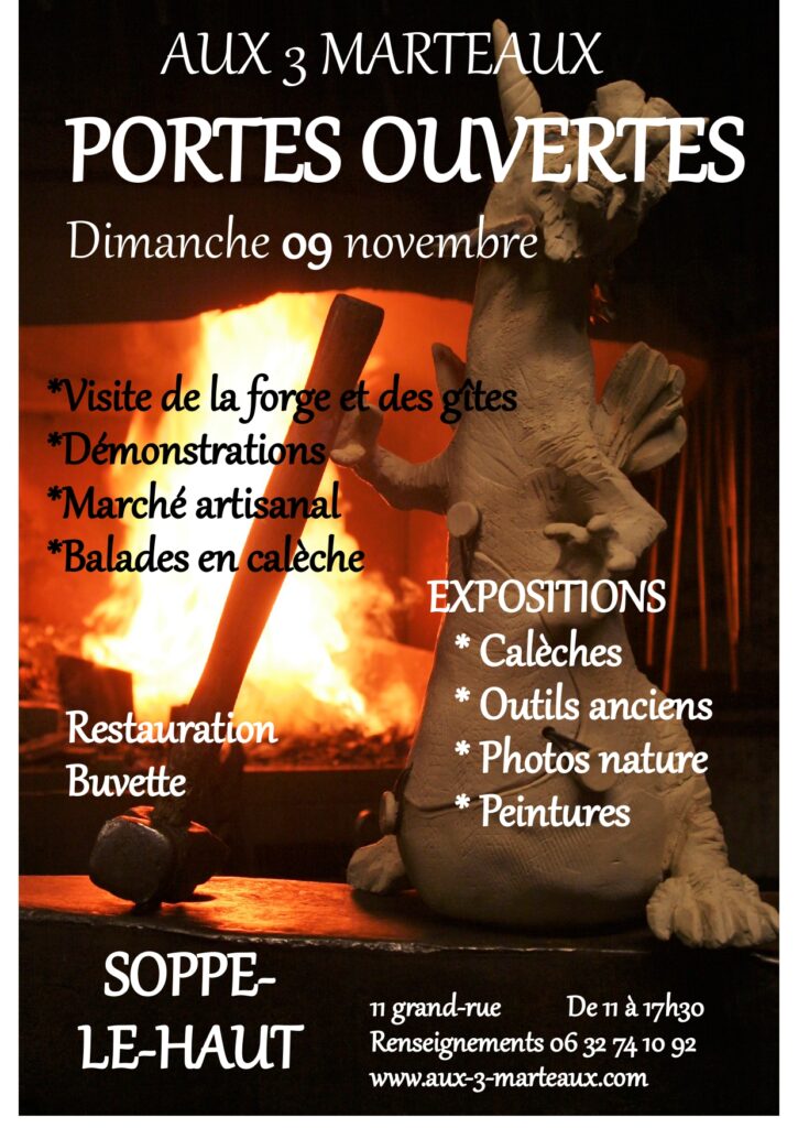 March&eacute;s de No&euml;l 2025 Lingolsheim 0