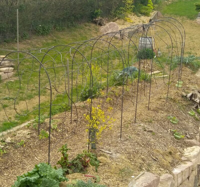 Structure de jardin Strasbourg 2